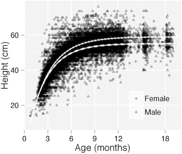 Labrador Retrievers' Height Growth Chart