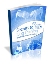 Secrets To Dog Training by Daniel Stevens