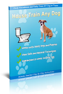 House/Potty Train Any Dog