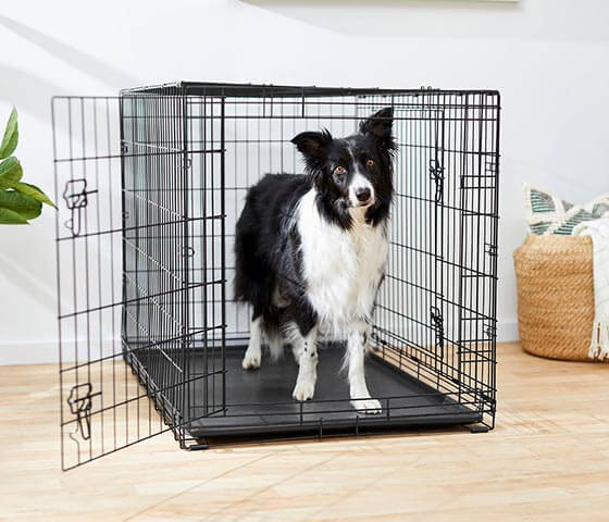 Frisco Fold & Carry Double Door Collapsible Wire Dog Crate 