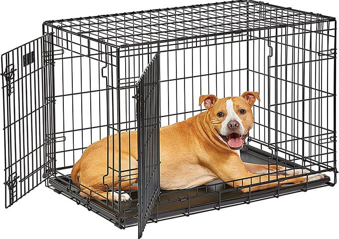 MidWest Life Stages 36" Double Door Folding Metal Dog Crate