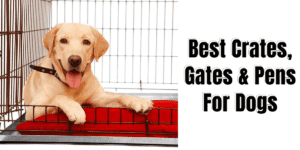 Best Crates, Gates, Pens For Dogs