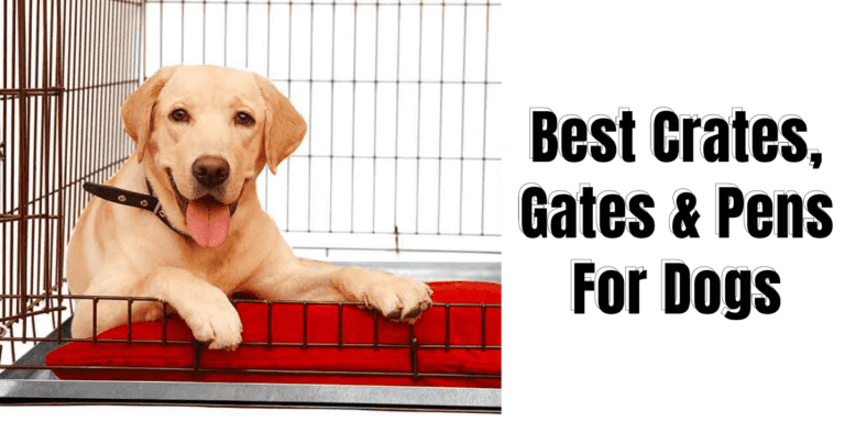 Best Crates, Gates, And Pens For Labrador Retrievers