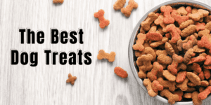 Best Dog Treats For Labrador Retrievers