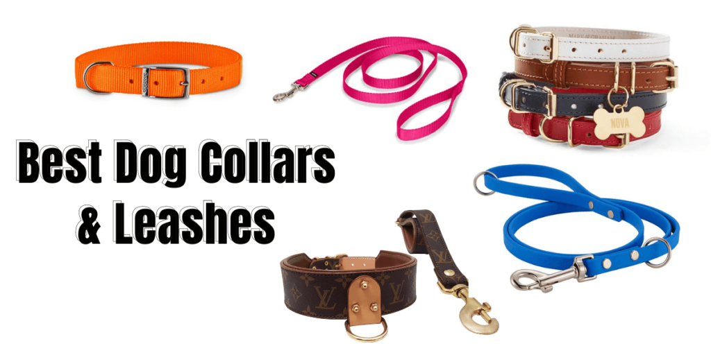 Best Dog Collars & Leashes