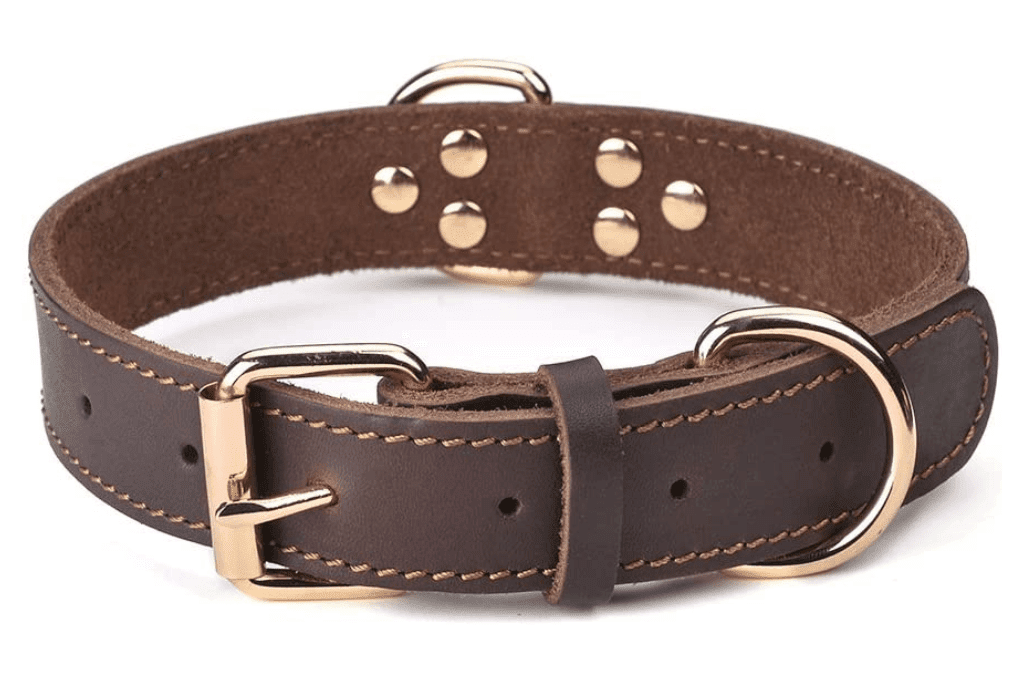 DAIHAQIKO Leather Dog Collar