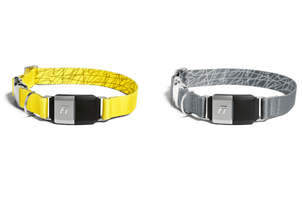 Fi Smart Dog Collar