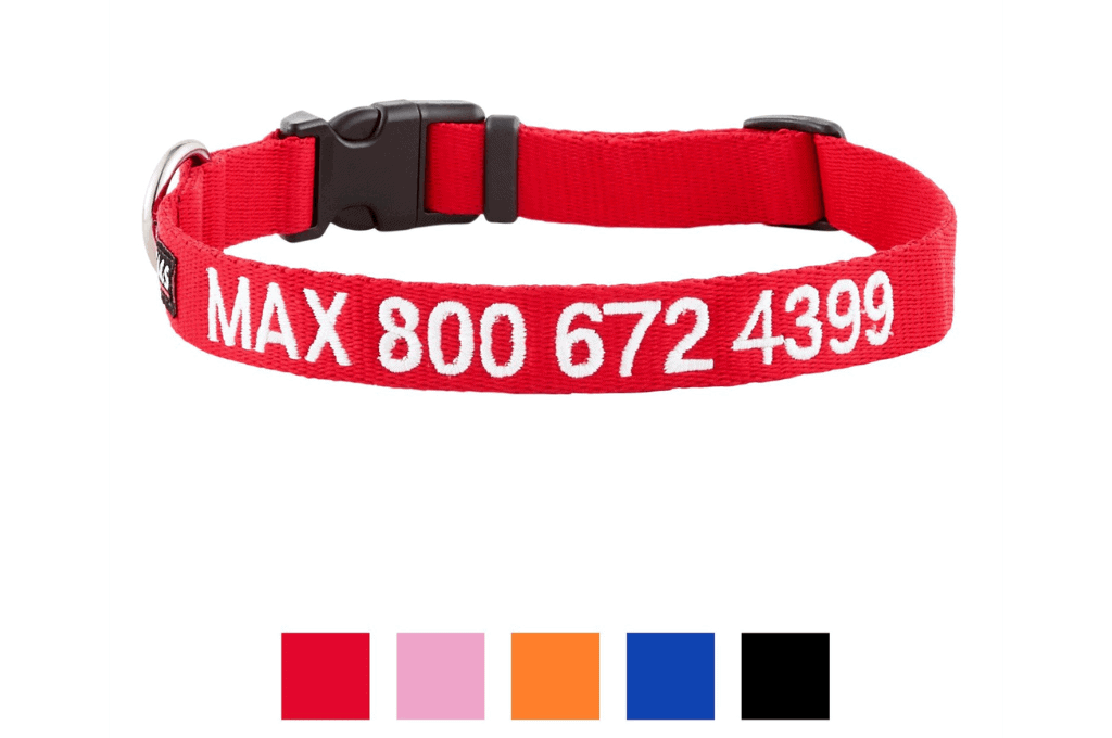 GoTags Nylon Personalized Dog Collar