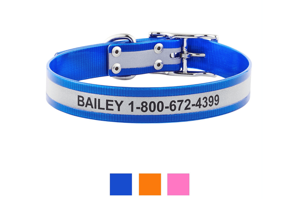 GoTags Waterproof Personalized Reflective Dog Collar