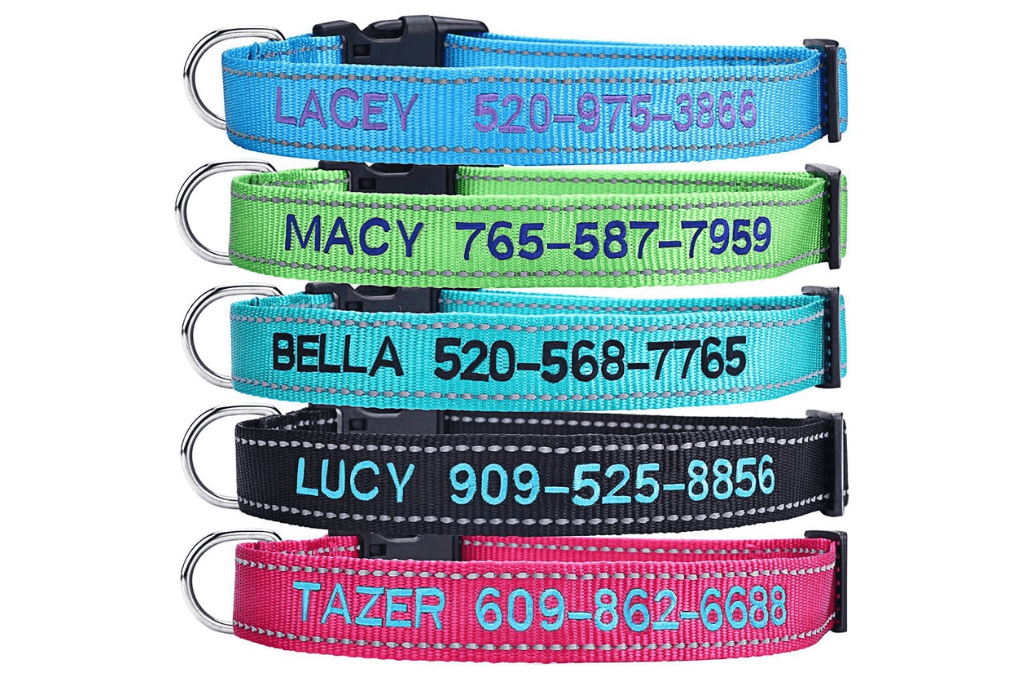 Personalized Dog Collar