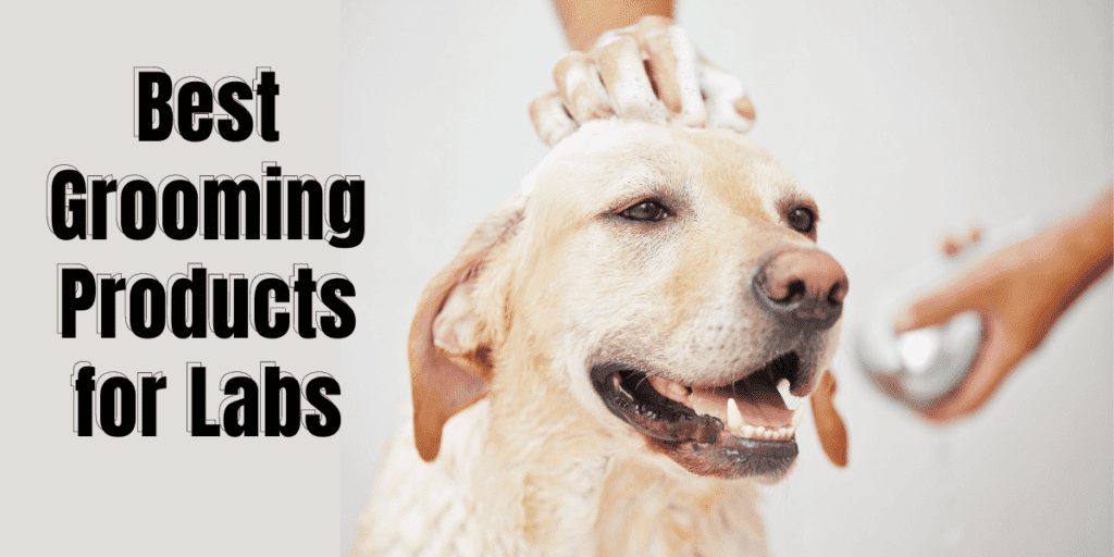Best Grooming Products for Labs