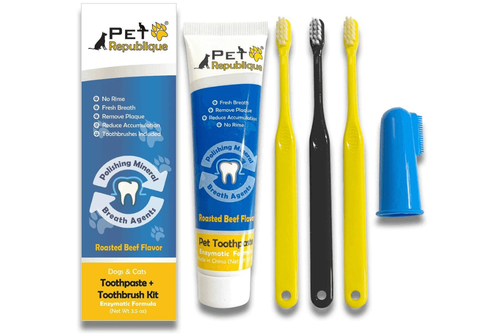 Pet Republique - Toothpaste & Brush Kit Beef Flavor