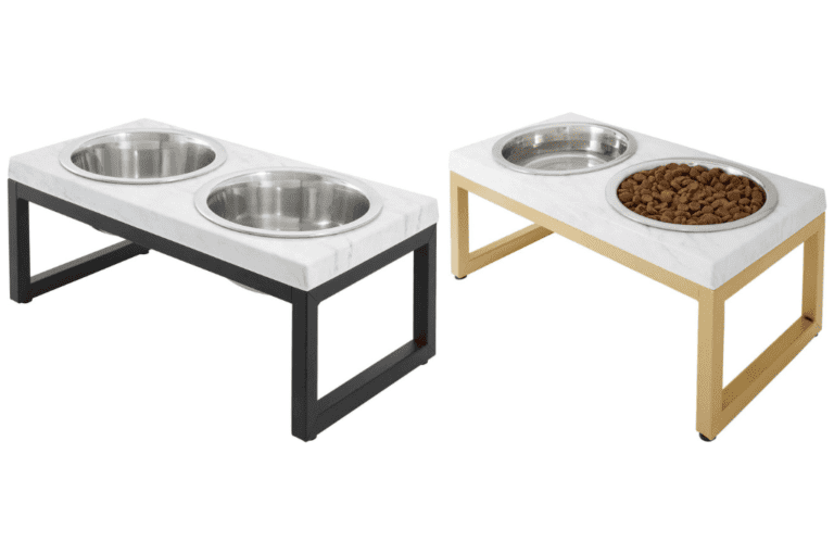 Best Dog Bowls, Feeders &amp; Placemats For Your Labrador Retriever - The ...
