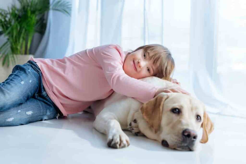 Do Labrador Retrievers Like To Cuddle?