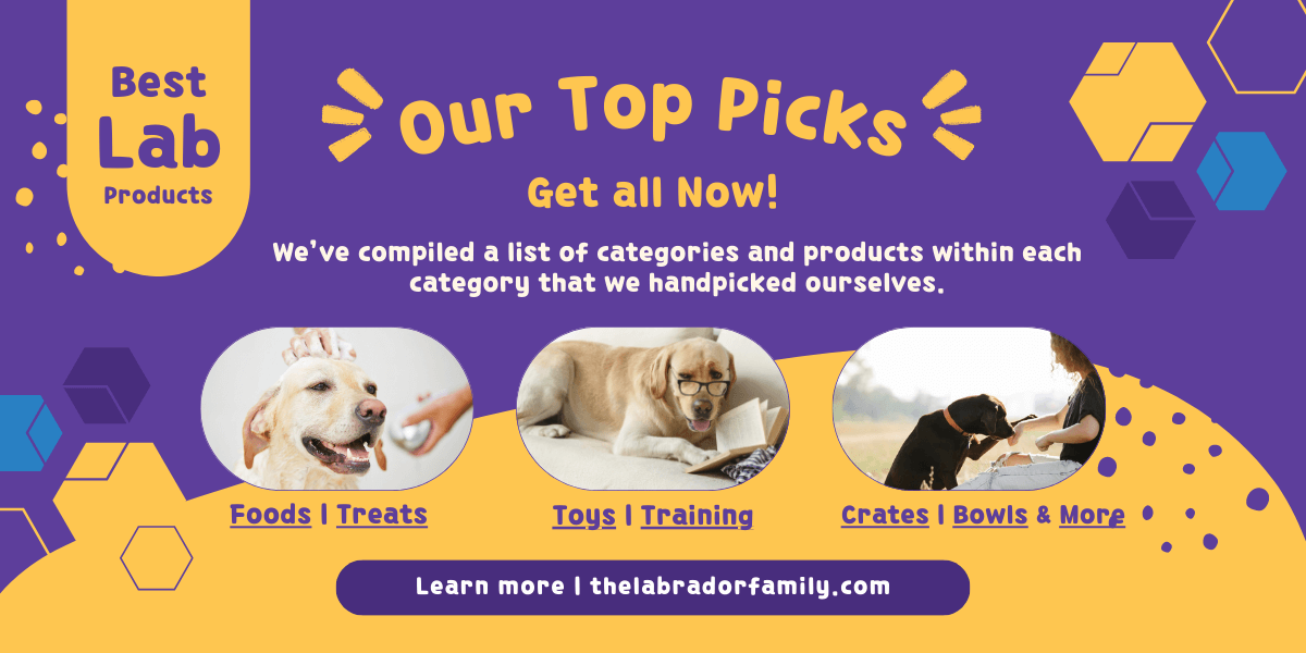 Labrador Retrievers Recommended Products