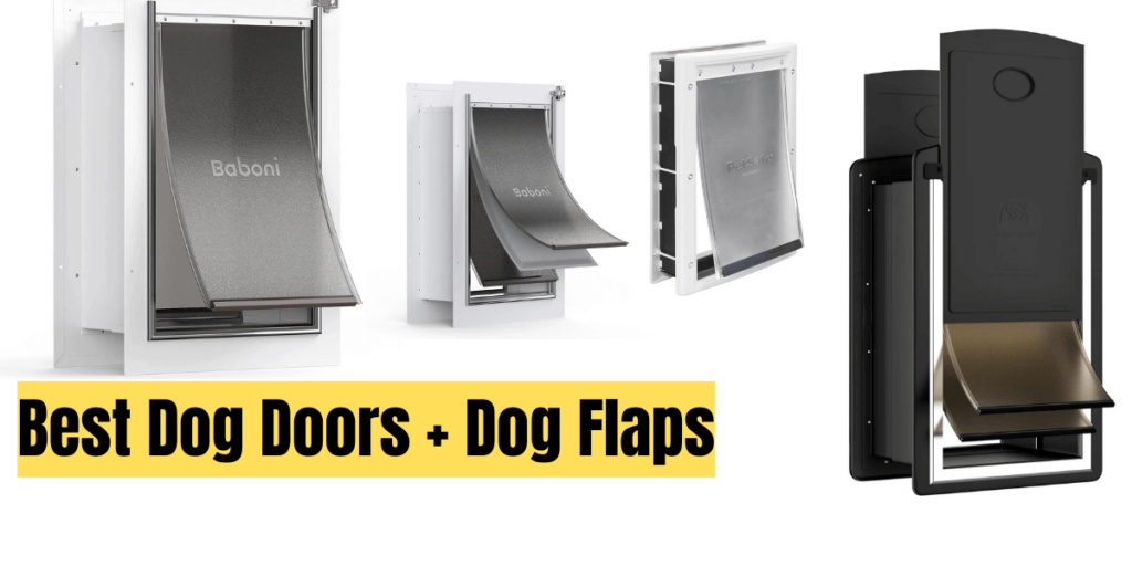 Best Dog Doors + Dog Flaps for Labrador Retriever