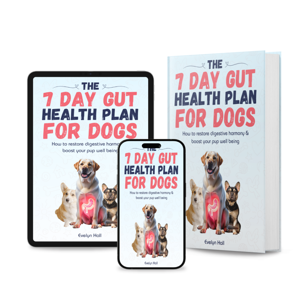 The 7-Day Gut Health Plan For Dog