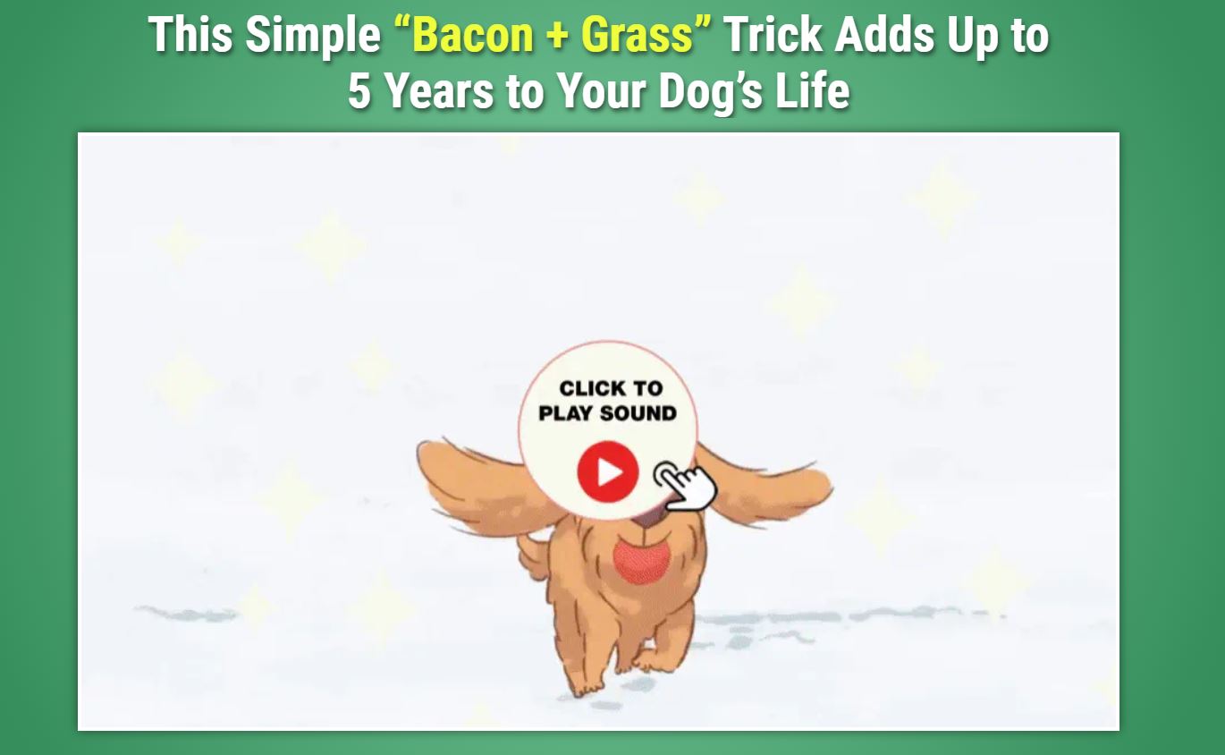 Photo inspiration: Picture Idea: 10 Common Dog Digestive Problems Causes Symptoms Home Remedies