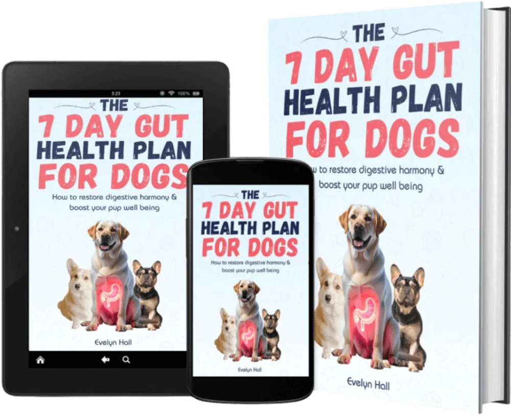 The 7-Day Gut Health Plan That Could Add 5 Years To Your Dog's Life