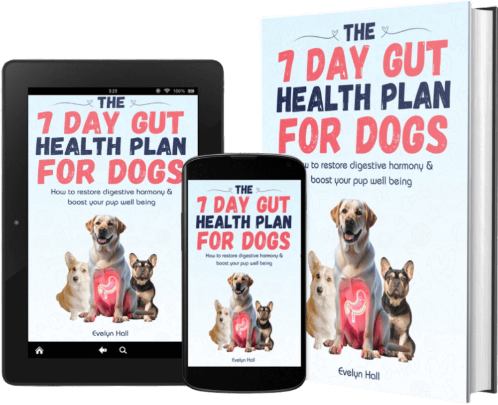 Image showcasing 10 Common Dog Digestive Problems: Causes, Symptoms & Home Remedies ...