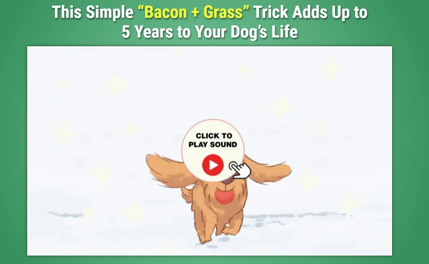 dog digestive problems